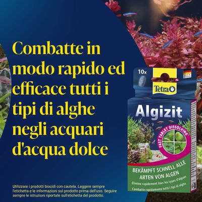 Tetra Algizit combatte rapidamente tutti i tipi di alghe negli acquari d'acqua dolce. Compresse a dissoluzione rapida. 10x compresse. Made in Germany.