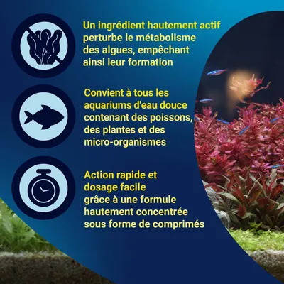 Ingrédient hautement actif perturbant le métabolisme des algues, adapté aux aquariums d’eau douce avec poissons, plantes et micro-organismes. Action rapide et dosage facile sous forme de comprimés.