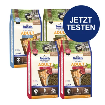 Bosch Adult Hundefutter ab 12 Monaten, Sorten: Fisch & Kartoffel, Geflügel & Hirse, Lamm & Reis. Jetzt testen.