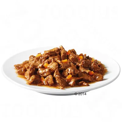 Assiette contenant des morceaux de nourriture humide en sauce avec petits dés orange visibles, présentée sur fond blanc. Aucun emballage ou marque visible.