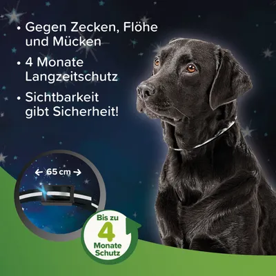 Schutz gegen Zecken, Flöhe und Mücken. Bis zu 4 Monate Langzeitschutz. Sichtbarkeit gibt Sicherheit! Halsband mit Länge bis 65 cm.