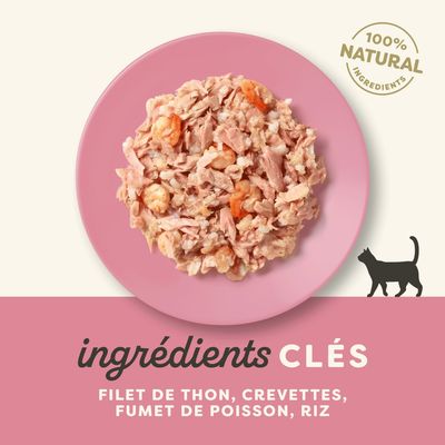 Lot de 48 boîtes Applaws Natural Cat Food, Tuna Fillet with Prawn in broth, 70 g chacune. Texte visible : 100 % natural ingredients, Certified B Corporation.