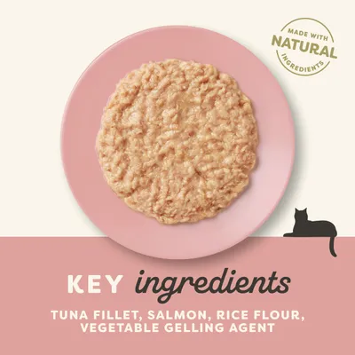 Ingredienti principali: filetto di tonno, salmone, farina di riso, agente gelificante vegetale. Testo in inglese: Made with natural ingredients.