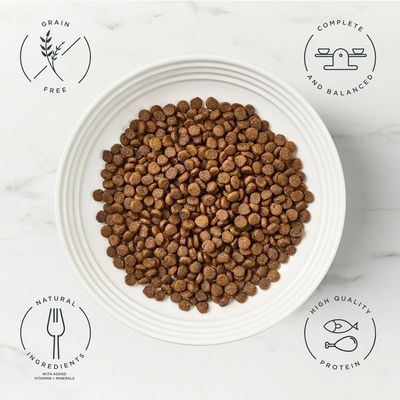 Encore Cat Chicken with Salmon - 800g