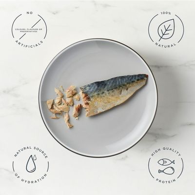 Encore Treat Mackerel Fillet, 100% natural ingredients, 30g. Packaging shows a cat image and product name.