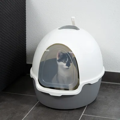 Stängd kattlåda i vitt och grått med transparent lucka, katt sitter inuti. Lämplig för diskret användning inomhus.