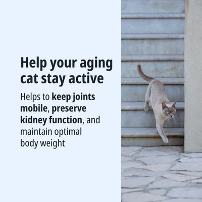 Helps older cats stay active: supports joint mobility, kidney function and optimal body weight.