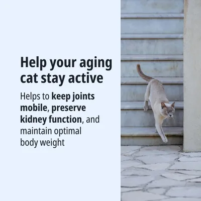 Helps older cats stay active: supports joint mobility, kidney function and optimal body weight. Helps older cats stay active: supports joint mobility, kidney function and optimal body weight.