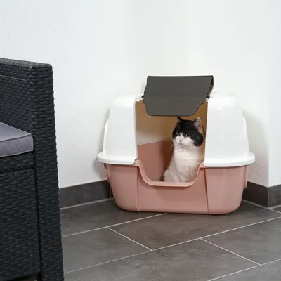 Caja de arena para gatos con tapa en rosa y blanco, puerta negra abierta. Gato dentro. Adecuada para uso discreto en interiores.