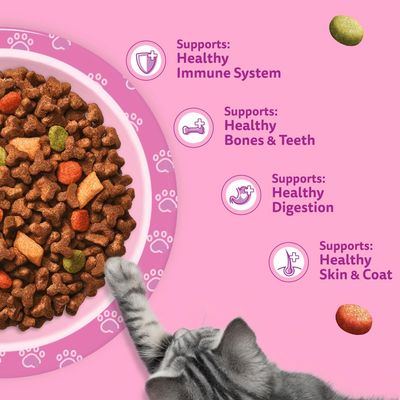 Text in image: Supports: Healthy Immune System, Healthy Bones & Teeth, Healthy Digestion, Healthy Skin & Coat. Cat dry food in bowl with cat.