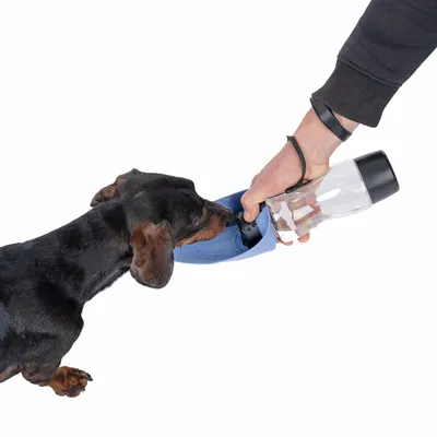 Hand hält tragbare Wasserflasche mit integriertem Napf, Hund trinkt daraus.
