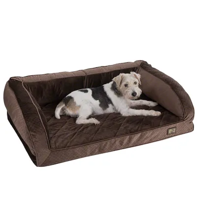 Cane bianco e nero sdraiato su un grande divano letto per cani marrone con bordi rialzati e superficie trapuntata, etichetta visibile sul lato anteriore.