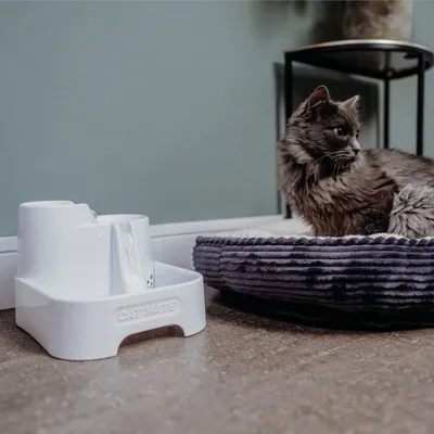 White drinking fountains by Cat Mate next to a cat bed. Cat sits on the bed and looks to the side.