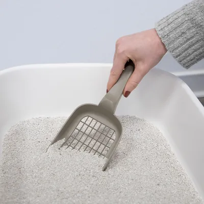 En hand håller en grå sandspade och tar bort klumpar från en kattlåda med fint kattströ.