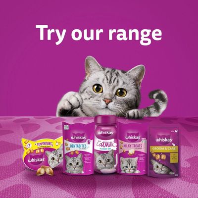 Whiskas Groom & Care Adult Cat Treats with Chicken
