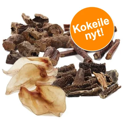 Erilaisia kuivattuja koiranherkkuja, kuten paloja ja tikkuja. Oranssi ympyrä, jossa valkoinen teksti: Kokeile nyt!