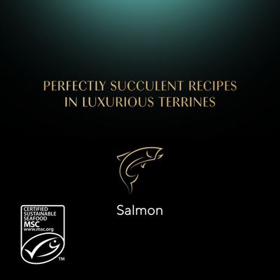 Sheba Classic Terrine Trays - Salmon (22 x 85g)
