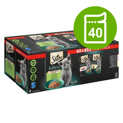 Sheba Kitten 40 x 85g mega pack, image shows box with kitten photo, two pouch varieties, and green icon with number 40. Visible text: 100% complete nutrition, no added sugar.