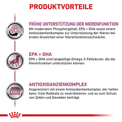 Produktfördelar: stöd för njurfunktion med fosforhalt, EPA+DHA och antioxidantkomplex. Omega-3-fettsyror främjar njurfunktionen. Skydd mot fria radikaler.
