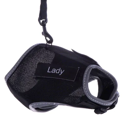 Sort sele med grå syninger og teksten 'Lady', inklusive fastgørelseskrog til line.