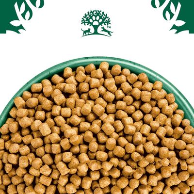 Bowl filled with small, brown dry food pellets shown from above.
