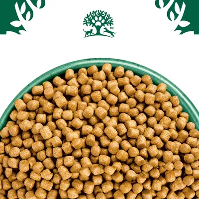 Bowl filled with small, square-shaped dry pet food pellets shown from above, with a green tree and animal symbol above the bowl.