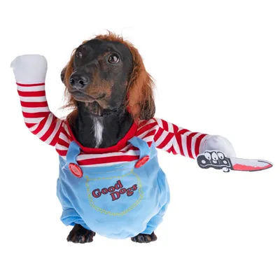 Pies w kostiumie: niebieski kombinezon, czerwona pasiasta koszula, napis 'Good Dogs', trzyma zabawkowy nóż. Humorystyczna prezentacja odzieży dla zwierząt.