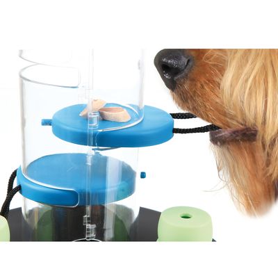 Куче до интерактивна играчка с прозрачни пластмасови цилиндри и сини капаци, вътре има лакомства. Видими черни въжета за манипулиране на частите.