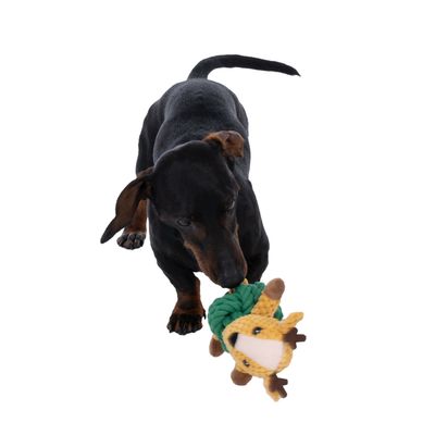 Pies bawi się żółto-zieloną zabawką z tkaniny w kształcie zwierzęcia.