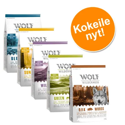 Wolf of Wilderness -koiranruokapakkaukset eri makuina: Blue, Sunny, Wild, Green Fields, Oak Woods. Oranssi ympyrä, jossa teksti 'Kokeile nyt!'.