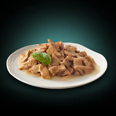 Chunks of wet food in gravy served on a white plate with a green leaf garnish, showing product texture and appearance.
