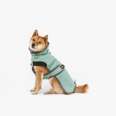 Cappotto per cani in verde menta con cinghie regolabili e cappuccio, adatto a condizioni climatiche fredde.