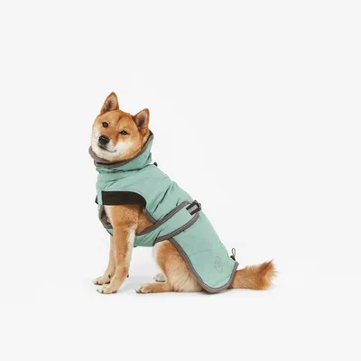 Chien portant un manteau vert clair avec fermeture à scratch et sangle noire, capuche relevée, assis de profil sur fond blanc. Matière textile visible.