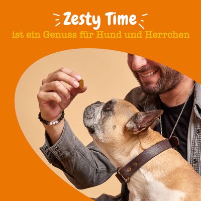 Zesty Time ist ein Genuss für Hunde, Text auf orangefarbenem Hintergrund mit Hund, der einen Snack betrachtet.