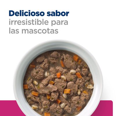 Texto: Delicioso sabor irresistible para las mascotas. Plato blanco con comida húmeda para mascotas, trozos de carne, zanahoria y arroz visibles.