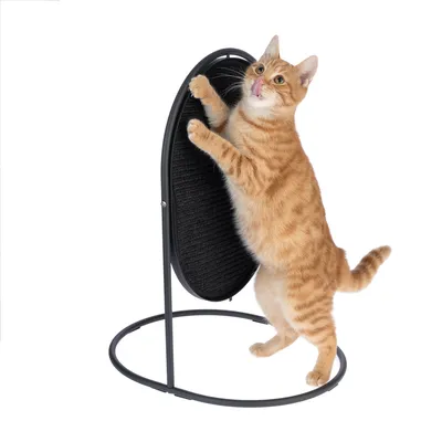 Cat scratcher with black scratching surface and metal frame, demonstrated by an orange cat.