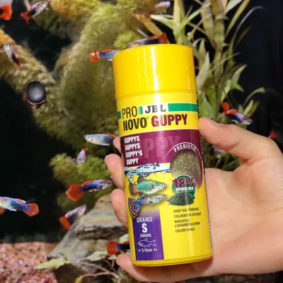 JBL Pro Novo Guppy Fischfutter, präbiotisch mit 18% Spirulina, für kräftige Färbung. Grano S, sinkend, geeignet für Guppys von 3-10 cm.