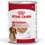 Royal Canin Medium Adult Mousse 12 x 410 g