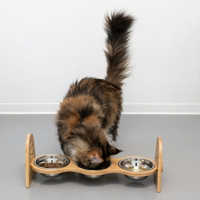 Houten standaard met drie roestvrijstalen kommen, kat eet uit een kom. Geschikt voor voer en water.