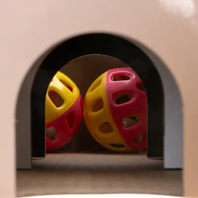 Two yellow-red plastic balls with holes, visible through an arched entrance. Toy for pets.
