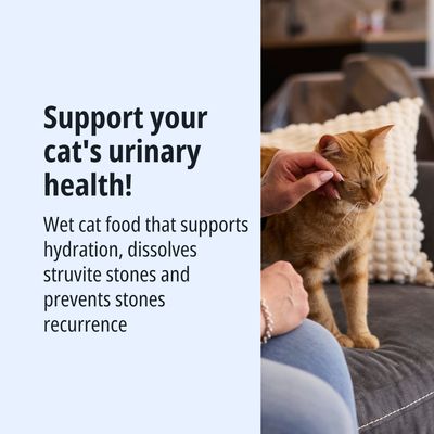 Alimento umido per gatti che supporta la salute delle vie urinarie, favorisce l’idratazione, dissolve i calcoli di struvite e previene la formazione di nuovi calcoli.