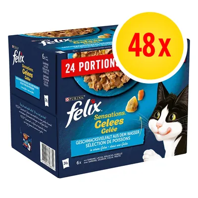 Felix Sensations Gelees, 48x. Opakowanie z widocznym napisem 24 portions oraz ilustracją kota. Wariant rybny: sardynka, łosoś, mintaj, pstrąg. Marka Purina.