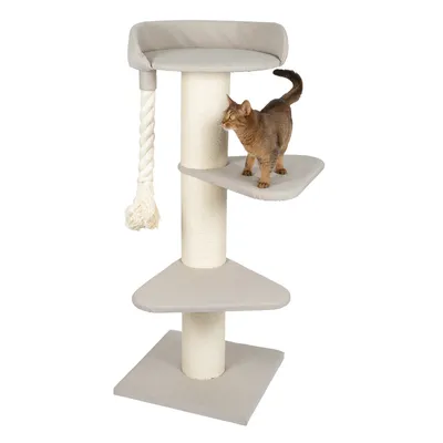 Kratzbaum mit drei Ebenen, Sisalstamm, Hängeseil und gepolsterter Liegefläche. Katze steht auf mittlerer Ebene.