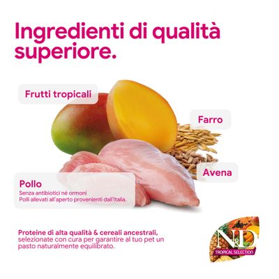 Componenti: frutta tropicale, pollo senza antibiotici né ormoni, farro e avena. Proteine di alta qualità e cereali antichi per pasti equilibrati. N&D Tropical Selection.