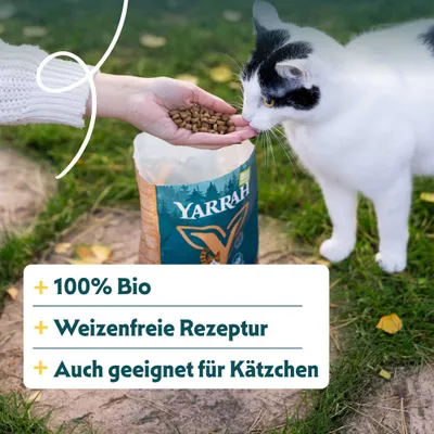 Yarrah Katzenfutter, 100% Bio, weizenfreie Rezeptur, auch geeignet für Kätzchen. Hand füttert Katze mit Trockenfutter aus geöffneter Yarrah-Packung.