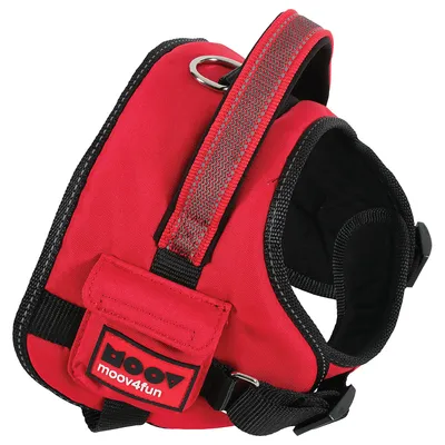 Rotes Hundegeschirr mit schwarzem Rand, Metallring und Logo 'moov4fun'.