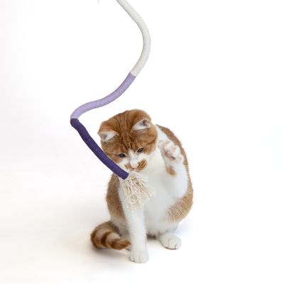 Zabawka z fioletową i białą liną oraz frędzlami, odpowiednia do interaktywnej zabawy.