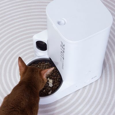 PETKIT YUMSHARE SOLO avtomatski podajalnik hrane z vgrajeno kamero in posodo za hrano, bel dizajn.