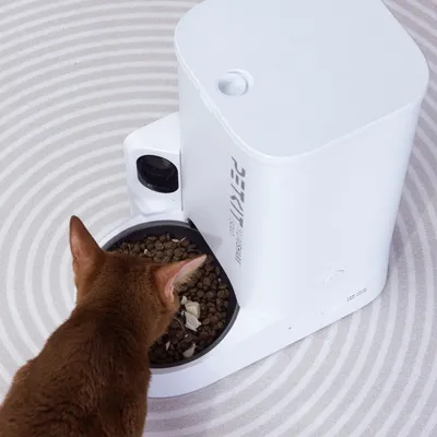 Automatischer Futterspender von PETKIT mit brauner Katze, die Trockenfutter aus der Schale frisst. Weißes Gerät mit PETKIT-Logo sichtbar.