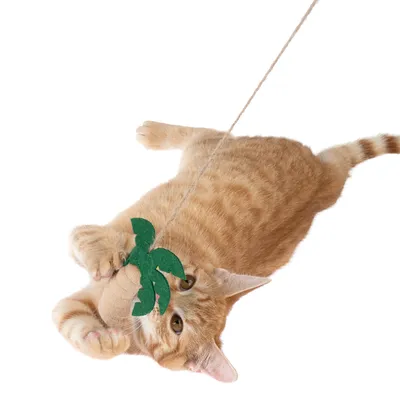 Röd katt leker med en hängande leksak av grön filt och brunt tyg, fäst vid ett snöre.
